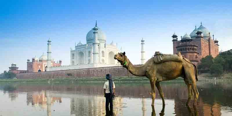 Polluted Yamuna besides Taj Mahal in Agra