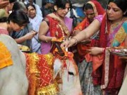 Cows are worshipped by Hindus in India.